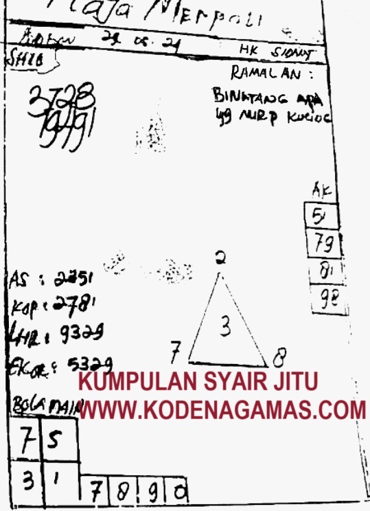 SYAIR SGP VIP
